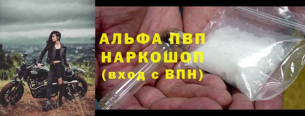 кокс Белокуриха