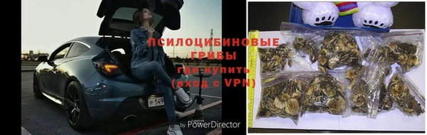 герыч Балахна